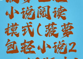 菠萝包轻小说阅读模式(菠萝包轻小说2017旧版本)