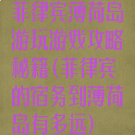 菲律宾薄荷岛游玩游戏攻略秘籍(菲律宾的宿务到薄荷岛有多远)