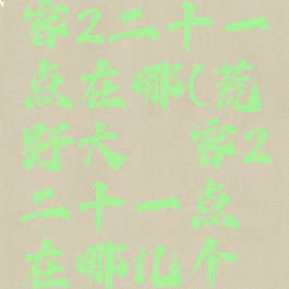 荒野大镖客2二十一点在哪(荒野大镖客2二十一点在哪几个地方)
