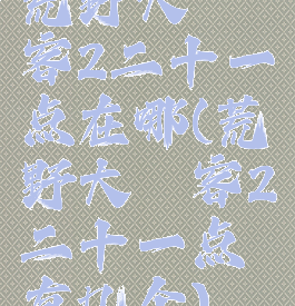 荒野大镖客2二十一点在哪(荒野大镖客2二十一点有几个)