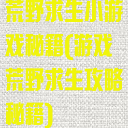 荒野求生小游戏秘籍(游戏荒野求生攻略秘籍)