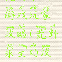 荒野求生游戏玩家攻略(荒野求生的攻略)