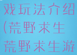 荒野求生游戏玩法介绍(荒野求生荒野求生游戏)