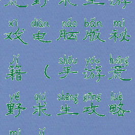 荒野求生游戏电脑版秘籍(手游荒野求生攻略秘籍)