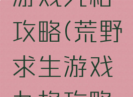 荒野求生游戏九格攻略(荒野求生游戏九格攻略大全)