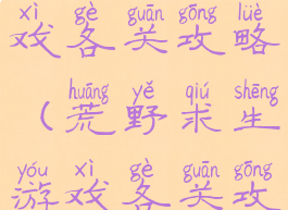 荒野求生游戏各关攻略(荒野求生游戏各关攻略视频)