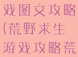 荒野求生游戏图文攻略(荒野求生游戏攻略荒野问答)