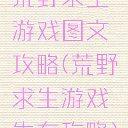 荒野求生游戏图文攻略(荒野求生游戏生存攻略)