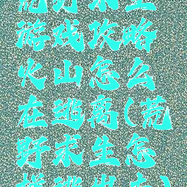 荒野求生游戏攻略火山怎么在逃离(荒野求生怎样逃出去)