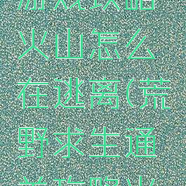 荒野求生游戏攻略火山怎么在逃离(荒野求生通关攻略火山浪)