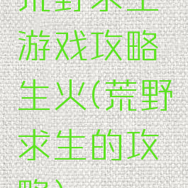 荒野求生游戏攻略生火(荒野求生的攻略)