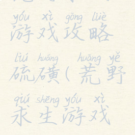 荒野求生游戏攻略硫磺(荒野求生游戏通关攻略)