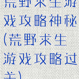 荒野求生游戏攻略神秘(荒野求生游戏攻略过关)
