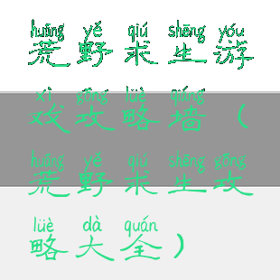 荒野求生游戏攻略墙(荒野求生攻略大全)