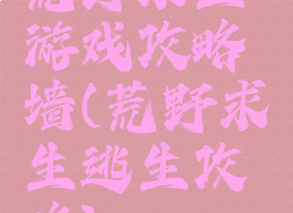 荒野求生游戏攻略墙(荒野求生逃生攻略)