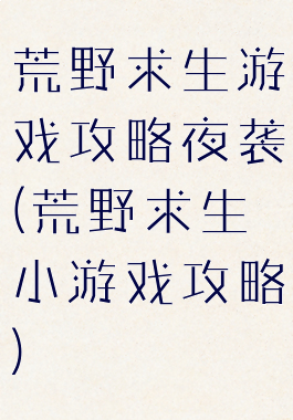 荒野求生游戏攻略夜袭(荒野求生小游戏攻略)