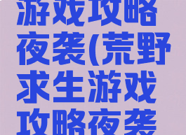荒野求生游戏攻略夜袭(荒野求生游戏攻略夜袭怎么玩)