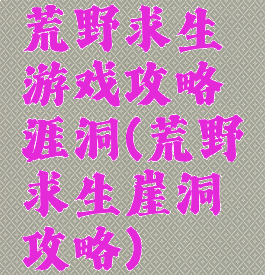 荒野求生游戏攻略涯洞(荒野求生崖洞攻略)