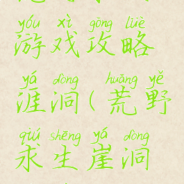 荒野求生游戏攻略涯洞(荒野求生崖洞路线)