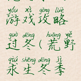 荒野求生游戏攻略过冬(荒野求生冬季攻略)