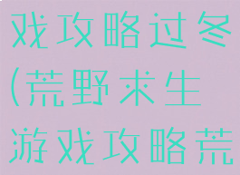 荒野求生游戏攻略过冬(荒野求生游戏攻略荒野问答)