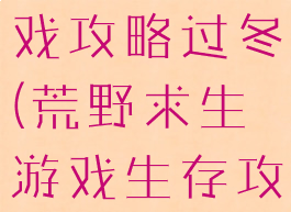 荒野求生游戏攻略过冬(荒野求生游戏生存攻略)