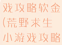 荒野求生游戏攻略软金(荒野求生小游戏攻略)