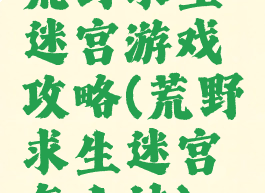 荒野求生迷宫游戏攻略(荒野求生迷宫怎么过)