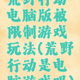 荒野行动电脑版被限制游戏玩法(荒野行动是电脑游戏吗)