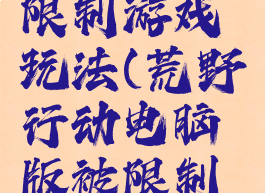 荒野行动电脑版被限制游戏玩法(荒野行动电脑版被限制游戏玩法怎么办)