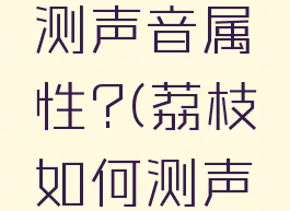 荔枝怎样测声音属性?(荔枝如何测声音类型)