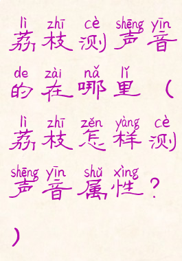 荔枝测声音的在哪里(荔枝怎样测声音属性?)