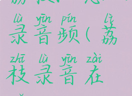 荔枝fm怎么录音频(荔枝录音在哪)