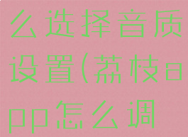 荔枝fm怎么选择音质设置(荔枝app怎么调音)