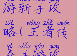 荣耀传奇手游新手攻略(王者传奇手游攻略)