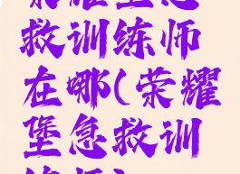 荣耀堡急救训练师在哪(荣耀堡急救训练师)