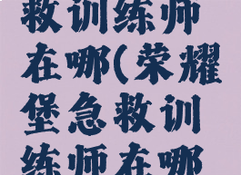 荣耀堡急救训练师在哪(荣耀堡急救训练师在哪刷)