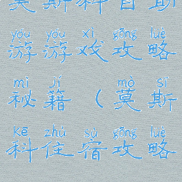 莫斯科自助游游戏攻略秘籍(莫斯科住宿攻略)