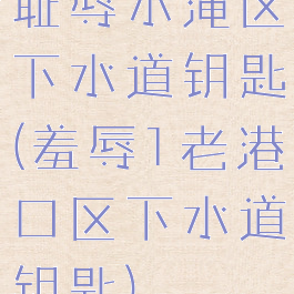 耻辱水淹区下水道钥匙(羞辱1老港口区下水道钥匙)