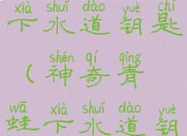 耻辱水淹区下水道钥匙(神奇青蛙下水道钥匙在哪里)