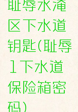 耻辱水淹区下水道钥匙(耻辱1下水道保险箱密码)