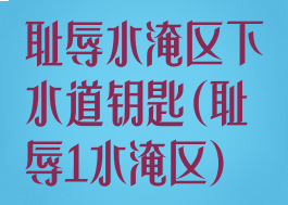 耻辱水淹区下水道钥匙(耻辱1水淹区)