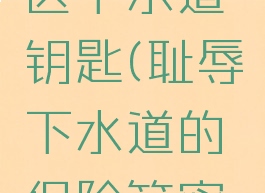 耻辱水淹区下水道钥匙(耻辱下水道的保险箱密码)