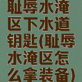 耻辱水淹区下水道钥匙(耻辱水淹区怎么拿装备)