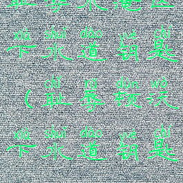 耻辱水淹区下水道钥匙(耻辱顿沃下水道钥匙)