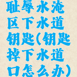 耻辱水淹区下水道钥匙(钥匙掉下水道口怎么办)