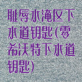 耻辱水淹区下水道钥匙(零希沃特下水道钥匙)