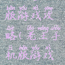 老王手机版游戏攻略(老王手机版游戏攻略大全)