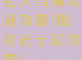 老人与猫游戏攻略(猫和老手游攻略)