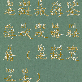 老挝旅游全游戏攻略秘籍(老挝怎么去)